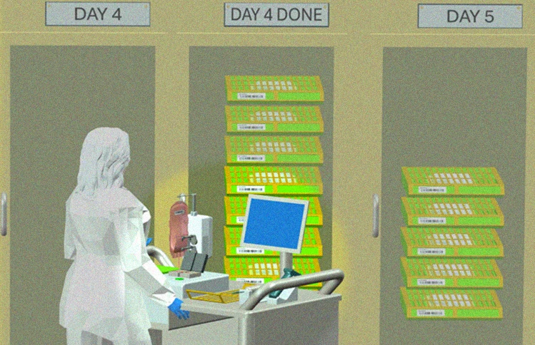 Incubator workflow execution environment